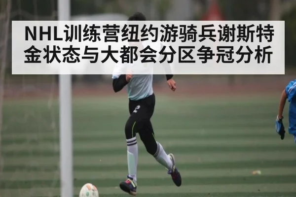 NHL训练营纽约游骑兵谢斯特金状态与大都会分区争冠分析