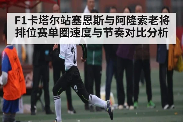 F1卡塔尔站塞恩斯与阿隆索老将排位赛单圈速度与节奏对比分析